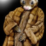 Ferret Fur Coat