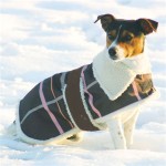 Fleece Lined Winter Dog Coats