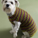 Free Knitting Pattern For Dog Coat With Legs