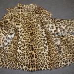 How Much Is A Leopard Skin Coat Worth