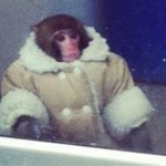 Monkey Winter Coat